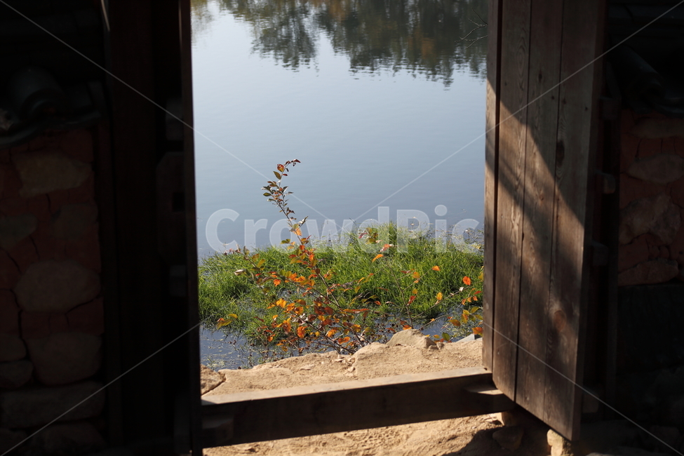 대문,물,못,위양못,gate,식물,자연,plants,nature