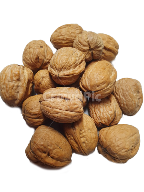 호두,너트,음식,딱딱한,walnut,콩류,견과류,beans,pulse,nuts,dry fruits