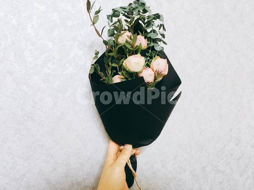 꽃,꽃다발,핑크,여자,여성,선물,장미