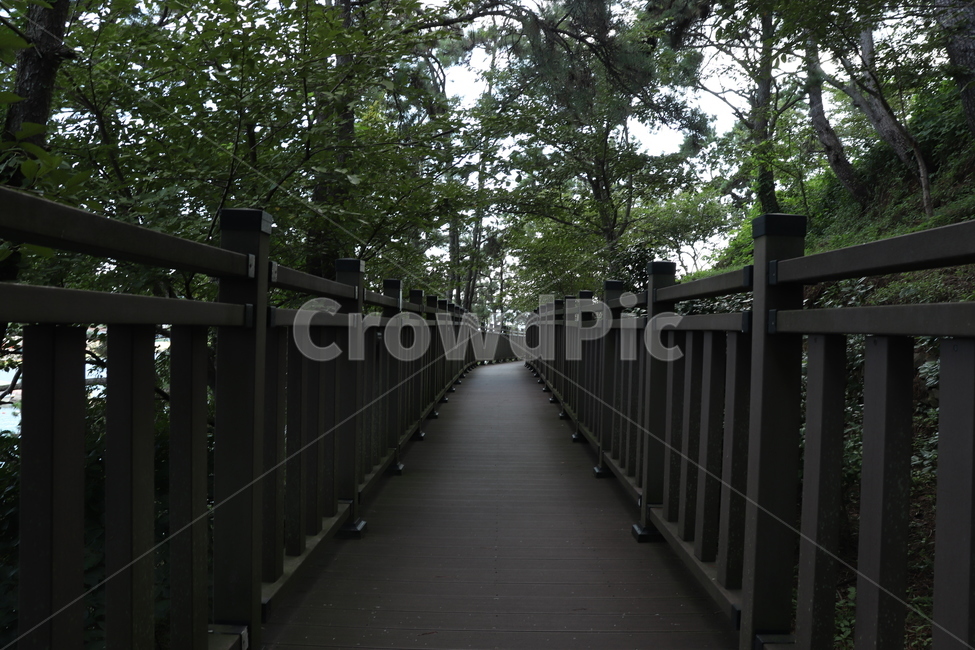 길,나무,풍경,숲길,산책로,자연,풍경,nature,landscape,handrail,난간,banister,railing