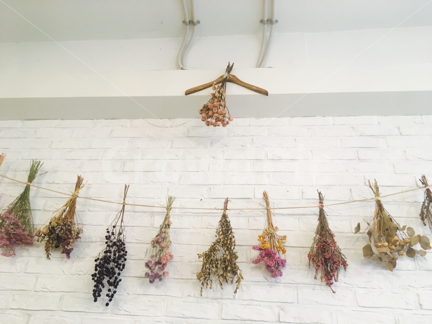 꽃,프리저브드,말린꽃,카페,분위기,하얀,화이트,바탕,꾸미기,식물,자연,plants,nature,꽃,flower,인테리어,실내디자인,interior design