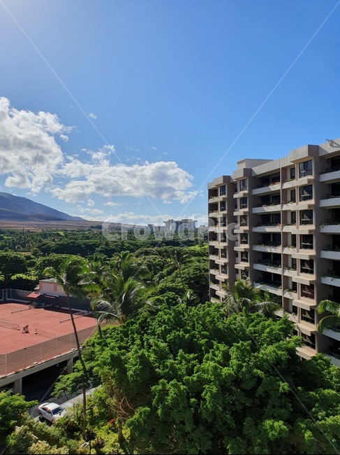 하와이,마우이,전망,뷰,리조트,나무,숲,tree,구름,파란하늘,하늘,푸른하늘,호텔,hawaii,maui,westinmaui,nature,자연