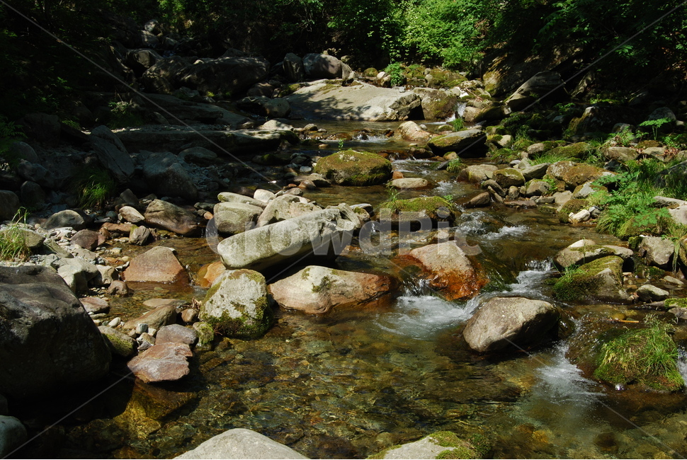 계곡,물,돌,자연,여름,여름,계절,summer,season,자연,풍경,nature,landscape,water,outdoors,옥외,stream,흐름