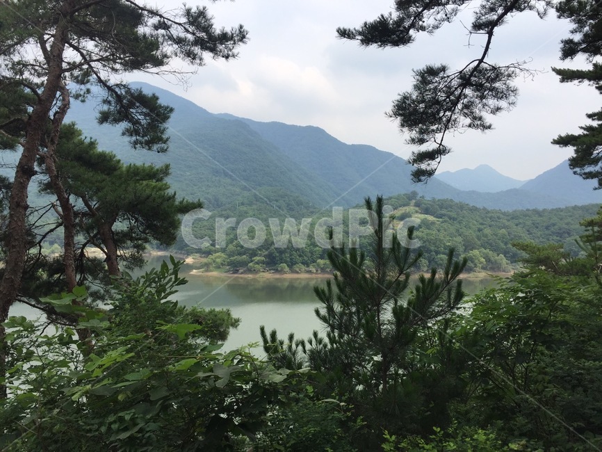 산,나무,녹색,자연,자연경관,산림,잎,식물,풀