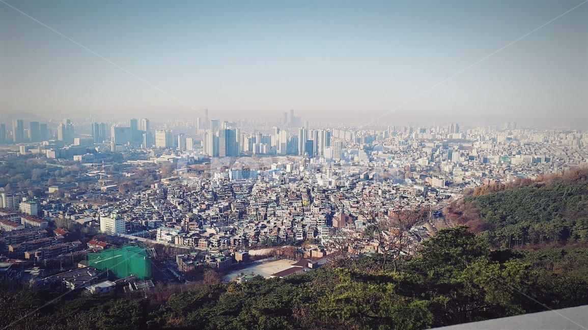 남산,전경,경치,풍경,건물,도시,풍경,city,landscape,한국도시풍경,한국도시경관,korea cityscape,nature,자연,outdoors,옥외,scenery,urban,어반,aerial view,조감도,building,metropolis,중심지,시티,town
