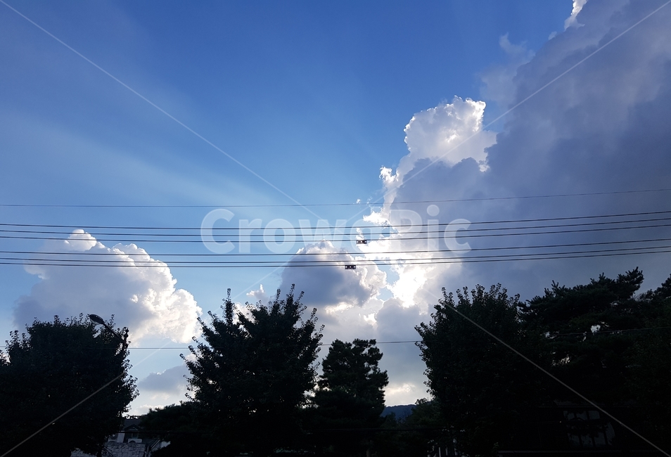 햇빛,빛,하늘,구름,푸른하늘,자연,전깃줄,sun,sunlight,sky,outdoors,cloud,nature,light,자연,풍경,nature,landscape,옥외