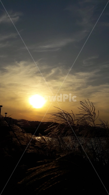 하늘,노을,가을,붉은,구름,가을,계절,fall,autumn,season,자연,풍경,nature,landscape,outdoors,옥외,sunlight,햇빛,light,빛,flare,플레어