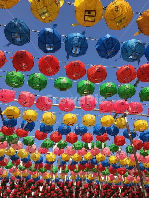 연등,절,불교,부처님,등,부처님오신날,종교,소망,믿음,종교,신앙,religion,belief,faith,축제,행사,festival,carnival,event