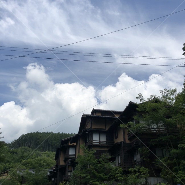 하늘,여름,구름,일본,주택,전깃줄,숲,단독주택,일본집