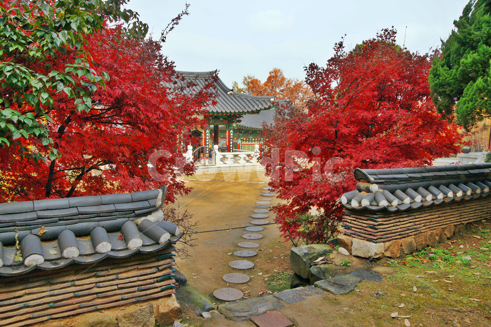 단풍,사찰,과천,보광사,돌담,담장,한국전통,한국문화,korean traditional,korean culture,건축물,건물외관,exterior,building,structure,architecture,construction