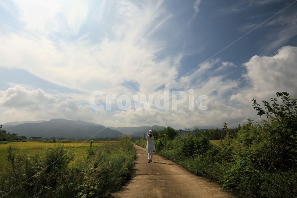 사람,풍경,시골길,구름,하늘,농로,뒷모습,자연,풍경,nature,landscape,사람,인물,인간,human,person,여성,여자,woman,female,lady,outdoors,옥외,road,도로