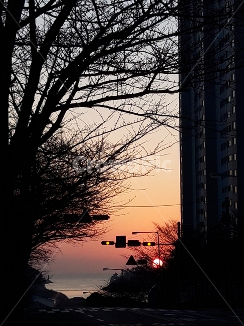 다대포일출,새벽,새벽출근길,일출,출근