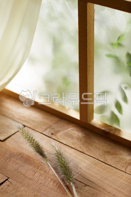 background,window,comfort,decoration,design,eco,foliage,frame,fresh,glass,grass,green,home,indoor,interior,leaf,light,living,modern,natural,object,plant,sunlight,tree,white,배경,밝음,디자인,에코,여백,잎사귀,프레임,후레쉬,초록,녹색,리빙,실내,인테리어,잎,햇살,라이프스타일,내추럴,오브젝트,식물,그림자,창틀,햇빛,선샤인,투명,창문,창가,유리,풀잎