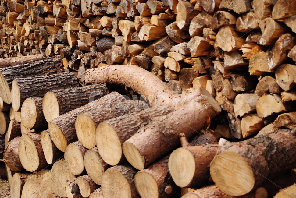 wood,나무,통나무,화목,뗄감나무,목재
