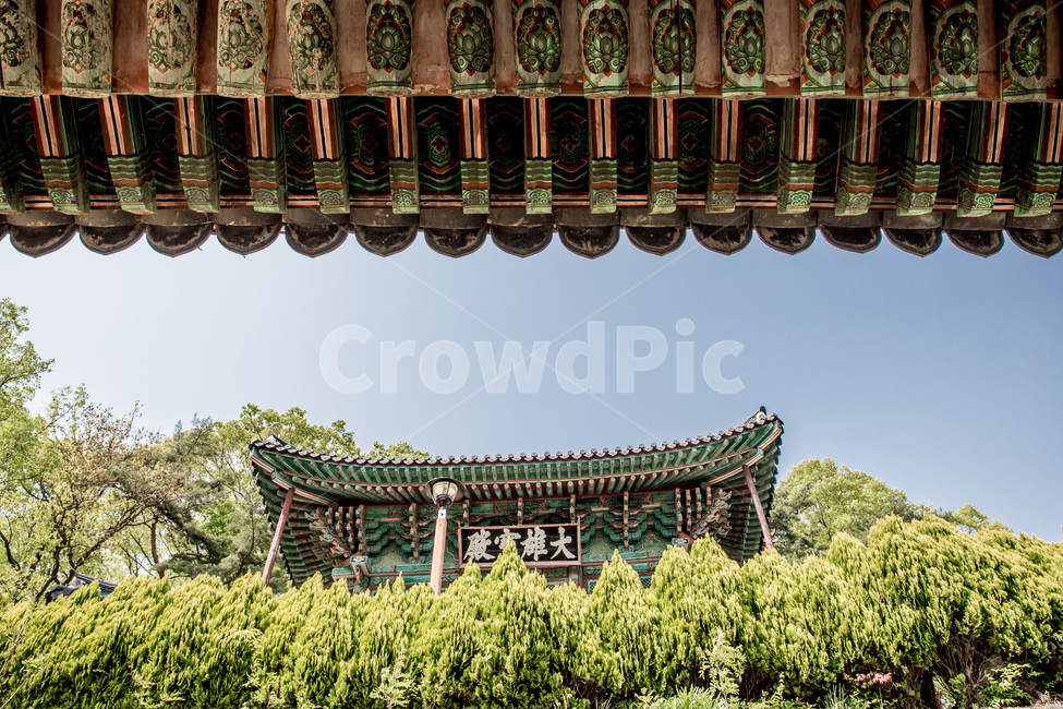 단청,건축,사찰,문양,무늬,한국전통,한국문화,korean traditional,korean culture,종교,신앙,religion,belief,faith,건축물,건물외관,exterior,building,structure,architecture,construction
