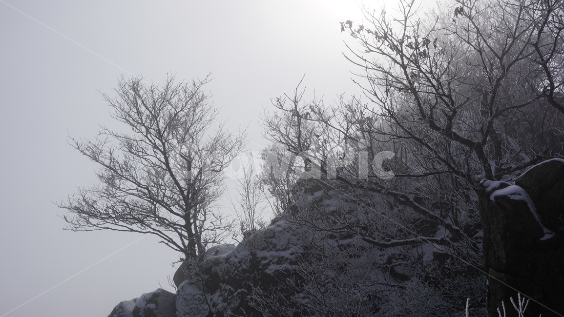 눈꽃,산,나무,눈,바위,자연,풍경,nature,landscape,outdoors,옥외,weather,날씨