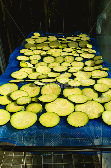 zucchini,cooking,summer,sunlight,mosquitonet,dryingvegetables,애호박,요리,여름,햇빛,모기망,채소말리기