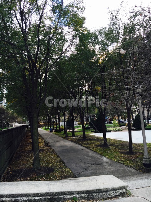plant,식물,asphalt,도로,road,tarmac,아스팔트,treetrunk,나무줄기,tree,나무,landscape,scenery,scene,view
