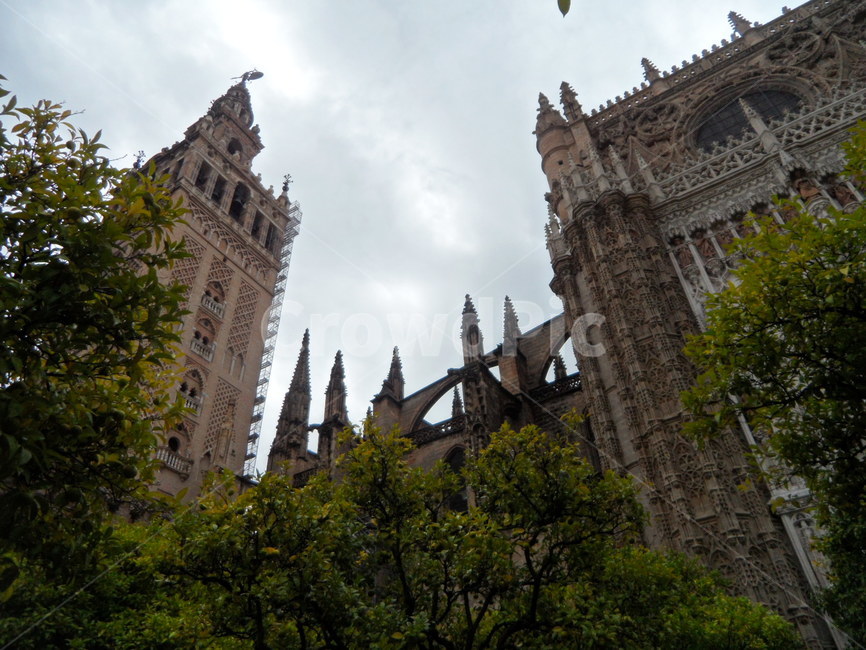 스페인,세비야,유럽,대성당,히랄다탑,spain,sevilla,europe,cathedral,lagiraldar,건축물,architecture,탑,tower