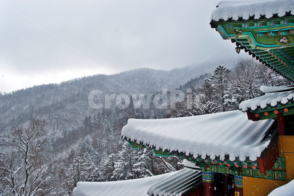사자암,사찰,겨울,오대산,눈,겨울,계절,winter,season,한국전통,한국문화,korean traditional,korean culture,건축물,건물외관,exterior,building,structure,architecture,construction