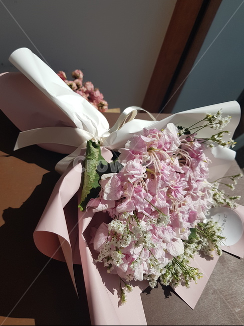 꽃,꽃다발,감성,자연광,선물,분홍꽃,flower,present,pinkflower