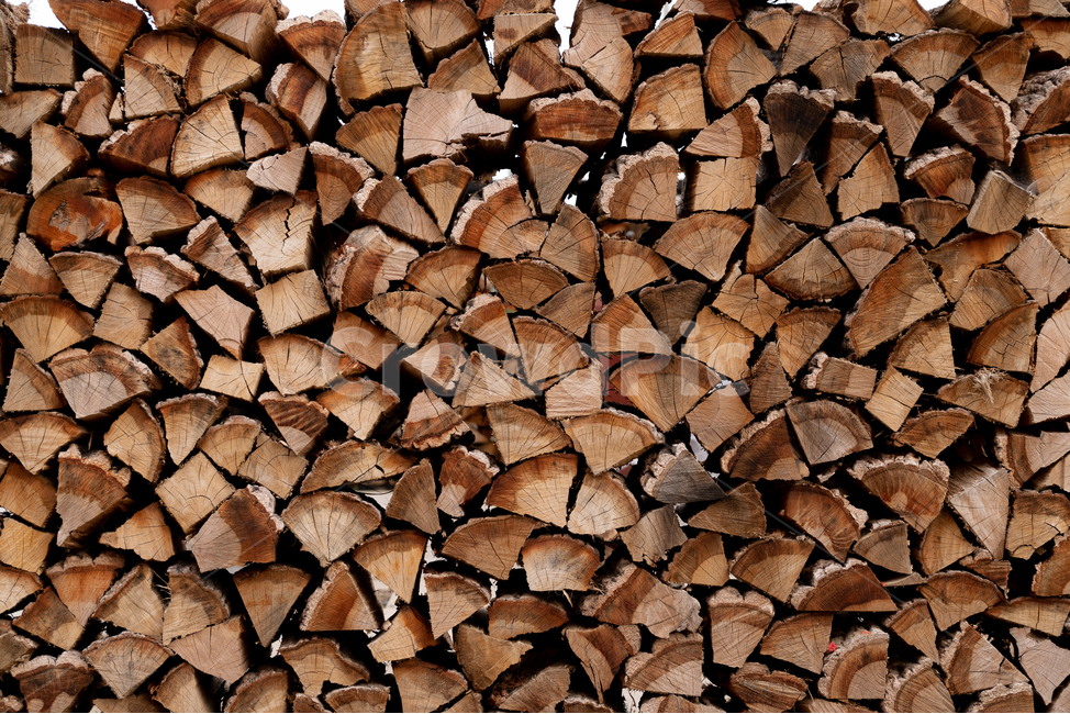 목재,나무,원목,장작,나무조각,wood,wooden,나무,trees,wood