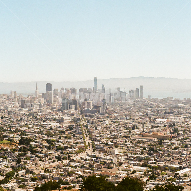 미국,캘리포니아,샌프란시스코,관광지,전망대,언덕,트윈피크스,바다,안개,도심,도시,마을,동네,건물,고층빌딩,빌딩,도로,교통,차,차량,오후,해외,외국,세계,자연,풍경,감성,감성사진,빈티지,아날로그,필름,필름사진,필름카메라,film,filmcamera,sensible,feeling,foreign,oversea,world,usa,california,sanfrancisco,nature,landscape,rest,relaxation,healing,town,country,city,urban,cityscape,downtown,road,car,traffic,transportation,touristattraction,hill,twinpeaks,fog,해외,외국,세계,foreign,oversea,world