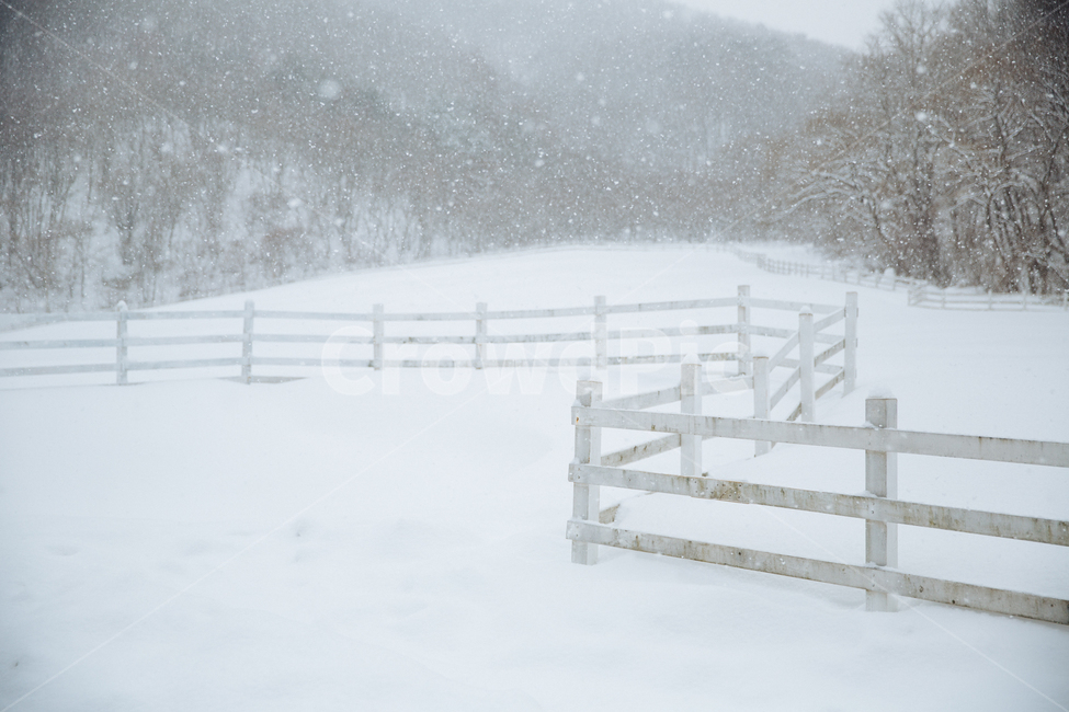 겨울,눈,풍경,감성,스냅,겨울,계절,winter,season,자연,풍경,nature,landscape,outdoors,옥외,snow,storm,폭풍,blizzard,눈보라