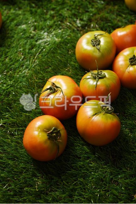 토마토,토마토요리,food,과일,야채,채소,tomato