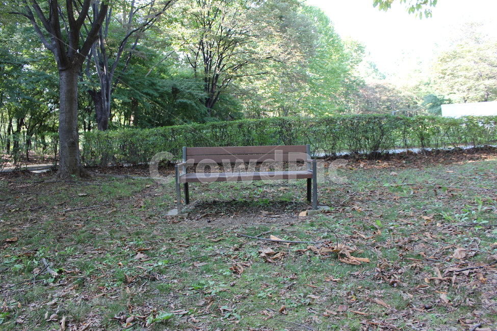 furniture,bench,가구,벤치,ground,바닥,자연,풍경,nature,landscape