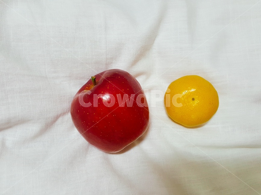 과일,사과,귤,plant,빨간,과일,열매,fruit