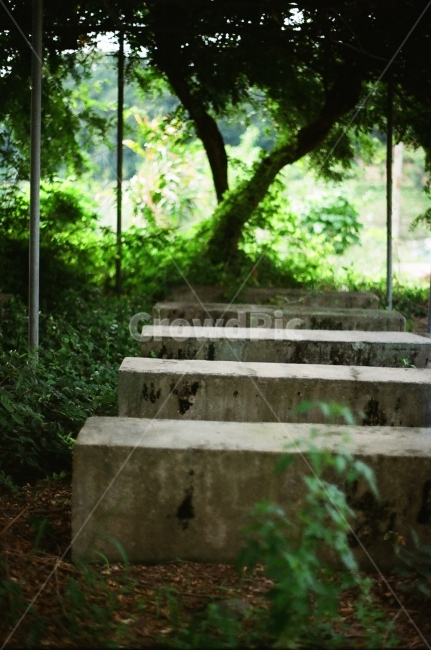 의자,자리,학교,쉼,그늘,쉼터,외로움,기다림,운동장,필름,휴식,힐링,rest,relaxation,healing