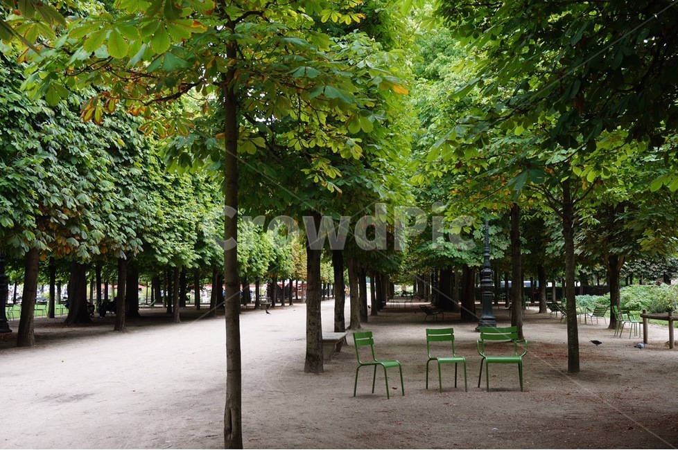 퇼르리정원,숲,공원,나무,초록의자,파리,paris,park,tree,green,europe,유럽,프랑스,풍경