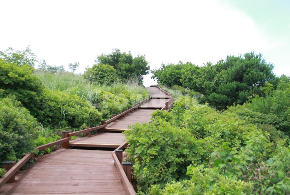 풍경,여름,산,한우산,힐링,자연,풍경,nature,landscape