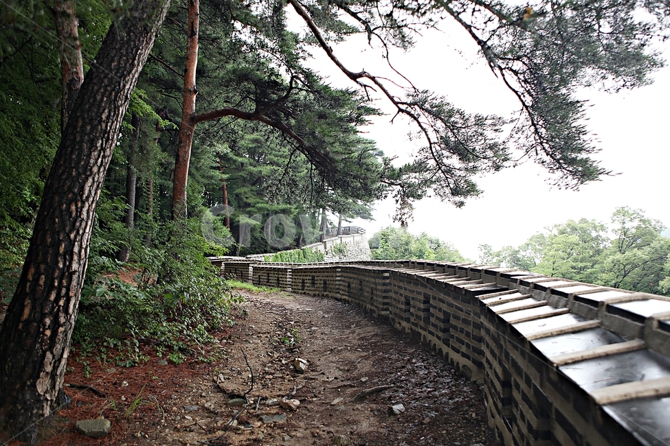 남한산성,성,성곽,숲,숲길,길,둘레길,벽,담,돌담,풍경,여름