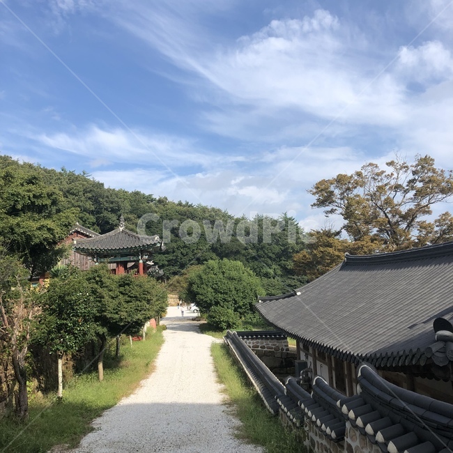 roof,지붕,강진,백련사,불교,산,가을,풍경,절