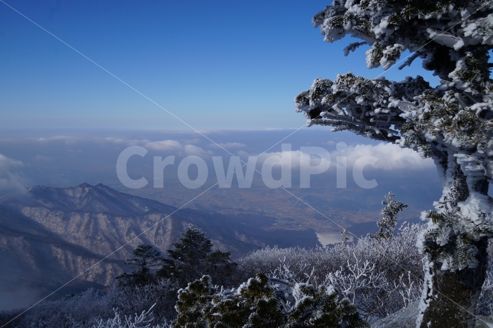 겨울,덕유산,겨울산,눈꽃,풍경,자연,자연,풍경,nature,landscape,겨울,계절,winter,season,tree,나무,plant,식물,fir,전나무,outdoors,옥외