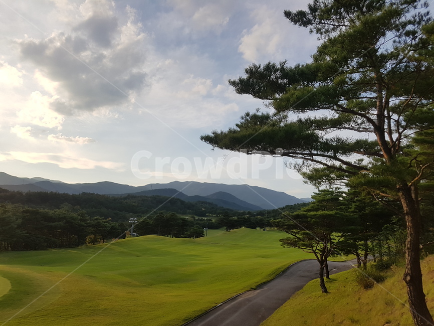 sunset,golf,나무,잔디,구름,골프장,일몰,시골,힐링,여유