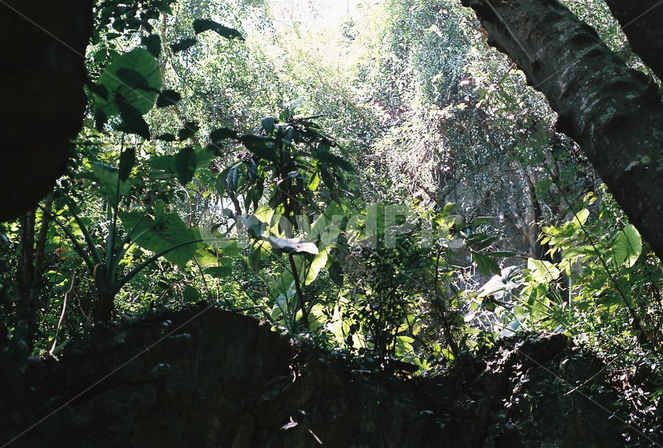 베트남,다낭,오행산,풍경,불교,절,자연,풍경,nature,landscape,휴식,힐링,rest,relaxation,healing,plant,식물