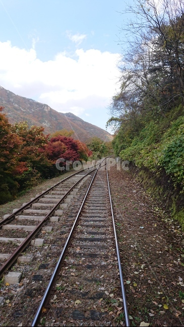 기찻길,철도,가을풍경,rail,가을