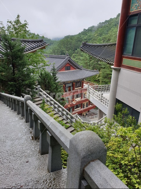 소백산,구인사,절,자연,평화