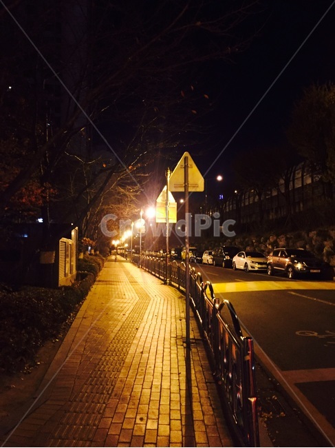 가로등,밤길,저녁,분위기,가로등불빛,어두운