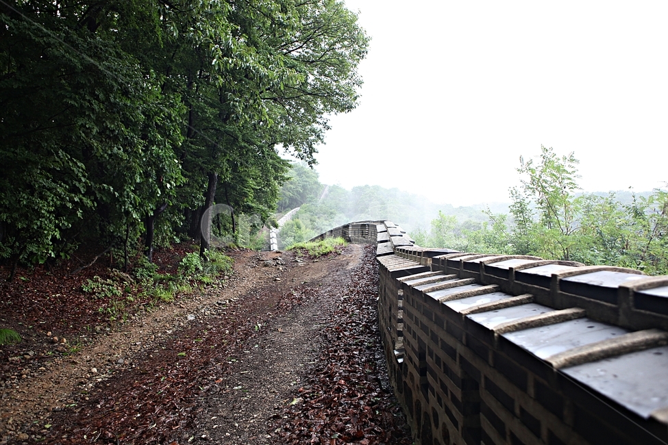 남한산성,성,성곽,길,둘레길,숲,숲길,벽,돌담,담,풍경,여름