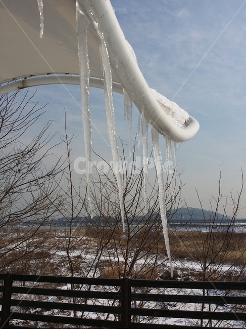고드름,얼음,겨울,한강,처마
