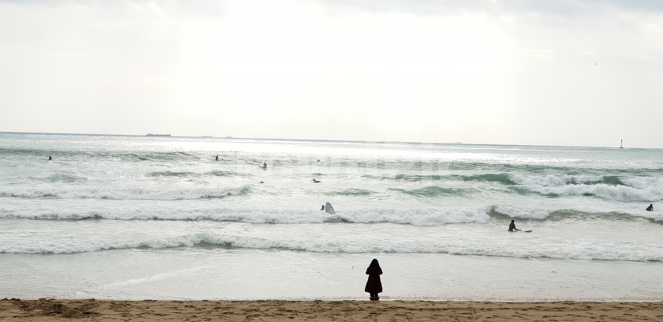 해변,양양,가을,서핑,파도,서퍼,surfer,surfing,ocean,대양,nature,자연,water,sea,바다,human,person,인간,사람