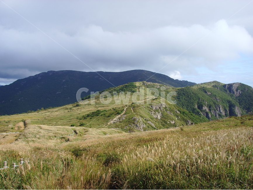 산,가을,가을산,영남알프스,갈대,신불산,영축산,가지산,구름,파란하늘,청명한하늘,자연,풍경,nature,landscape,한국자연풍경,한국자연경관,korea nature landscape,outdoors,옥외,hill,언덕
