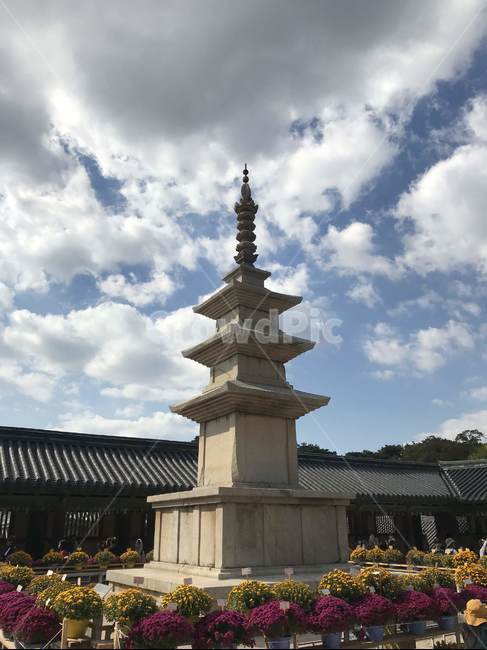경주,가을,불국사,다보탑,풍경
