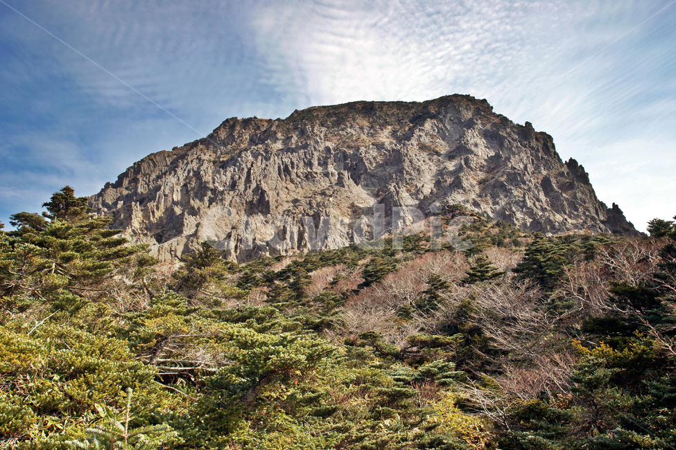 한라산,한라산국립공원,제주도,암벽,돈내코코스,활엽수림,난대성식물