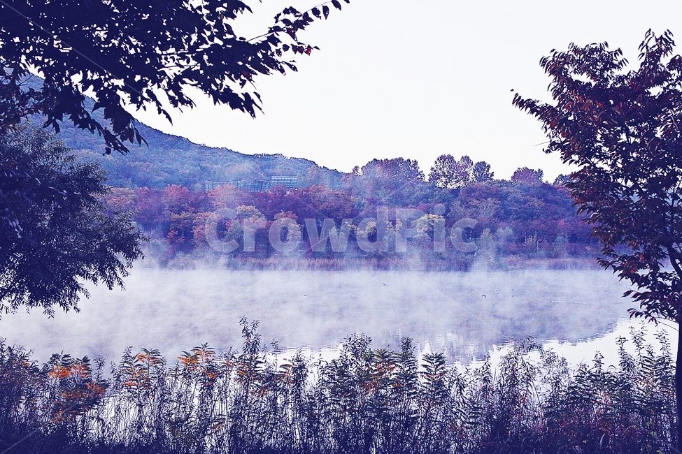 호수,단풍,아침,인천대공원,물안개,물,식물,나무,자연,풍경,공원,자연,풍경,nature,landscape,한국자연풍경,한국자연경관,korea nature landscape