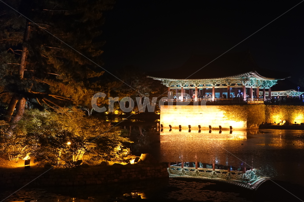 건물,건축물,경주,야경,안압지,building,architecture,야경,밤,풍경,nightscape,night,landscape